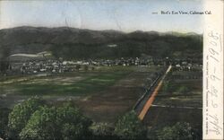 Bird's Eye View, Calistoga California Postcard Postcard Postcard