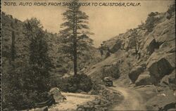 Auto Road from Santa Rosa to Calistoga California Postcard Postcard Postcard