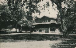 Aetna Springs Grounds Around the Hall California Postcard Postcard Postcard