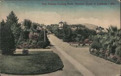 Main Avenue, Veterans' Home of California Postcard