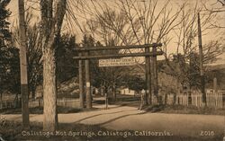 Calistoga Hot Springs California Postcard Postcard Postcard