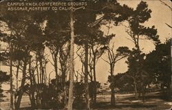 Campus YMCA Conference Grounds, Asilomar Pacific Grove, CA Postcard Postcard Postcard