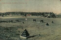 Parade Grounds, Presidio of Monterey Postcard