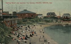 Bathing Beach and Japanese Tea Garden, Pacific Grove Postcard