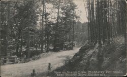 View on Scenic Drive, Monterey Peninsula near Pacific Grove Postcard