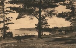 Carmel Bay, Carmel-By-The-Sea, California Postcard