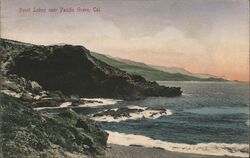 Point Lobos near Pacific Grove, Cal. California Postcard Postcard Postcard