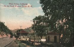 Pieta Station, California Postcard