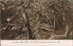 On the "Red Trail" at Duncan Springs Hopland, CA Postcard Postcard Postcard