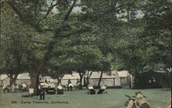 Camp Yosemite Postcard