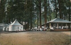 Camp Curry, Yosemite Yosemite National Park, CA Postcard Postcard Postcard