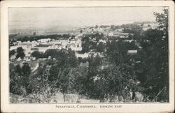 Susanville, California Looking East Postcard