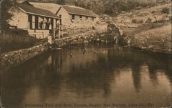 Swimming Pool and Bath Houses, Seigler Hot Springs Postcard