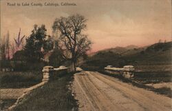 Road to Lake County, Calistoga California Postcard Postcard Postcard