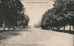 Street Scene, Lemoore California Postcard Postcard Postcard