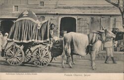 Female Chariot, Jaipur Postcard