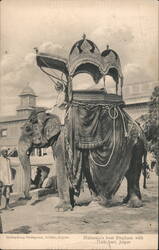 Maharaja's best Elephant with Howdah, Umbari, Jaipur Postcard