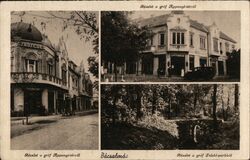 Bácsalmás, Hungary - Gróf Apponyi Street & Teleki Park Postcard