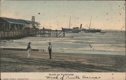 Muelle de Puntarenas Dock Postcard