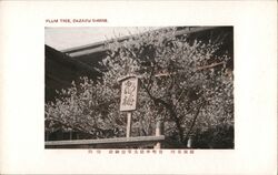 Plum Tree, Dazaifu Shrine Postcard