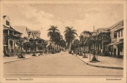 Paramaribo Suriname Street Scene Judenbreestraat Postcard