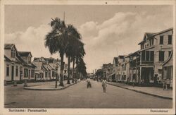 Paramaribo Domineestraat Suriname Postcard