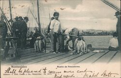 Montevideo Uruguay Fishermen Muelle de Pescadores Postcard Postcard Postcard