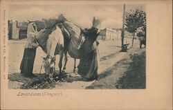 Lavanderas (Uruguay) Postcard Postcard Postcard