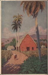 Cuba, Tobacco Barn, Horse Rider, Palm Trees Postcard Postcard Postcard