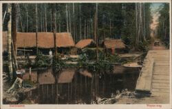 Suriname Weyne-Weg Postcard