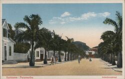 Suriname: Paramaribo, Jodensbreestraat Postcard