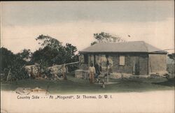 Country Side -- At "Misgunst", St. Thomas, D. W. I. Postcard