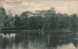 Singapore Botanical Garden Postcard