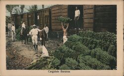 Cargando Bananos Costa Rica Trains, Railroad Postcard Postcard Postcard