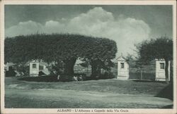 Albano - L'Alberone e Cappelle della Via Crucis Postcard