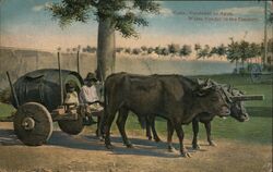 Cuba Water Vendor in the Country Postcard