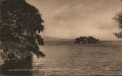 A View in the Gulf of Paria, Near Port of Spain, Trinidad Postcard