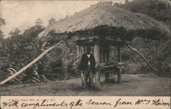 A Native Sugar Mill, St. Lucia, W.I. Postcard