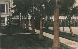 Royal Palms at Hotel Colonial, Nassau, Bahamas Postcard