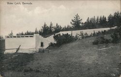 Water Catch, Bermuda Postcard