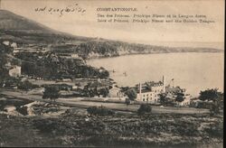 Constantinople. Prinkipo Nizam & Golden Horn Postcard