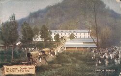 Lipton Tea Leaving Dambatenne Factory Ceylon Postcard