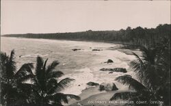 Colombo's Palm-Fringed Coast, Ceylon Southeast Asia Postcard Postcard Postcard