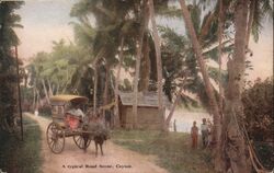 Typical Road Scene, Ceylon Sri Lanka Southeast Asia Postcard Postcard Postcard