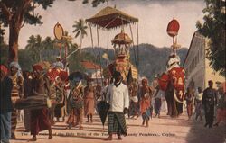 Procession of the Tooth Relic, Kandy Perahera, Ceylon Sri Lanka Southeast Asia Postcard Postcard Postcard