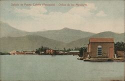 Puerto Cabello, Venezuela - Orillas de los Manglares Postcard