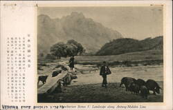 Manchurian Landscape along Antung-Mukden Line Japanese China Postcard Postcard Postcard