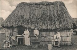 Bohia, Native Palm Hut Cuba Postcard Postcard Postcard