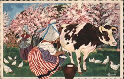 Milking a Cow in Normandy, France Postcard