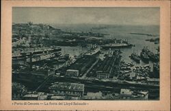 Porto di Genova - La flotta del Lloyd Sabaudo Postcard